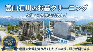 haka-cleaning-2 | 墓まもり